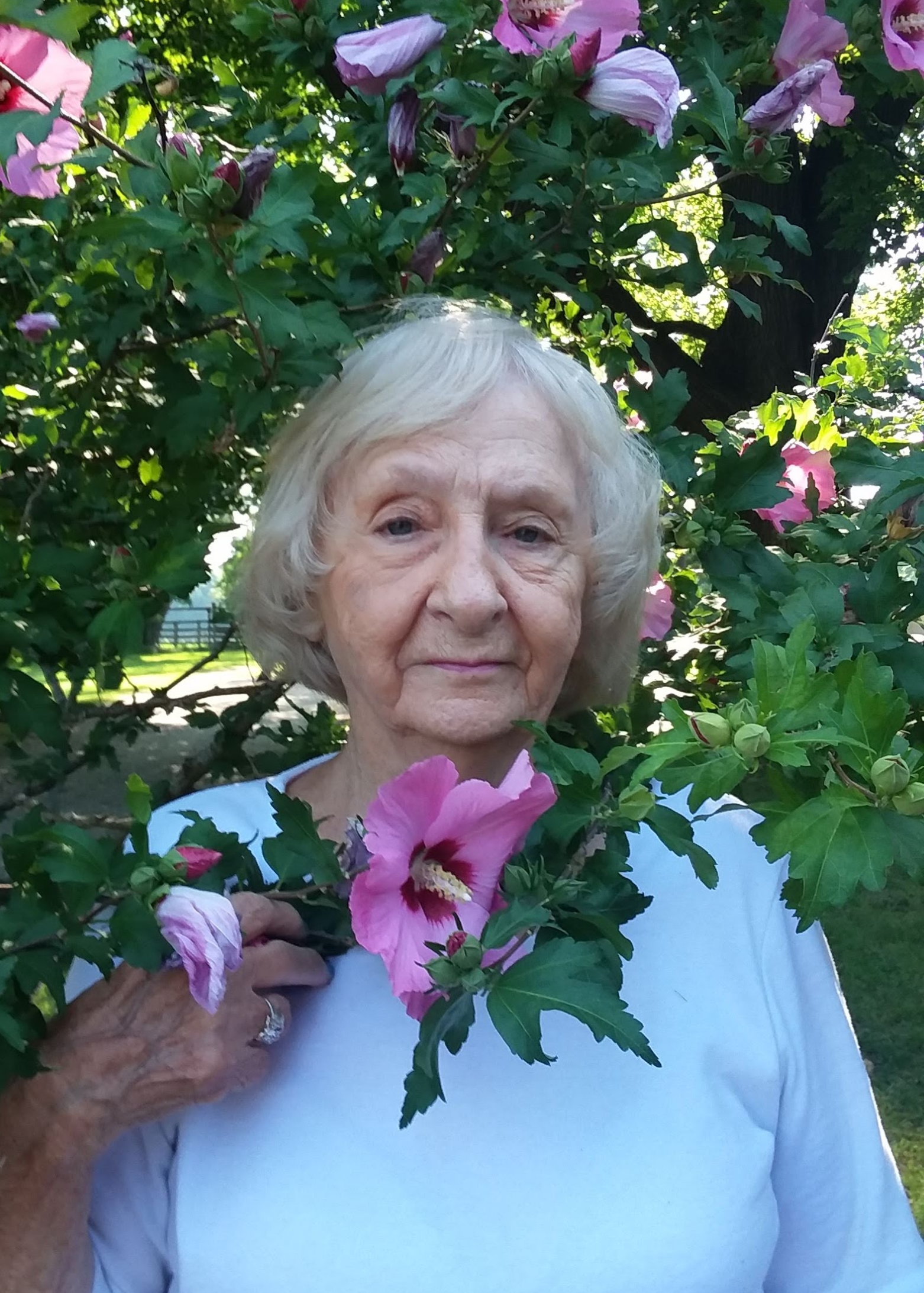 bernice loxterman